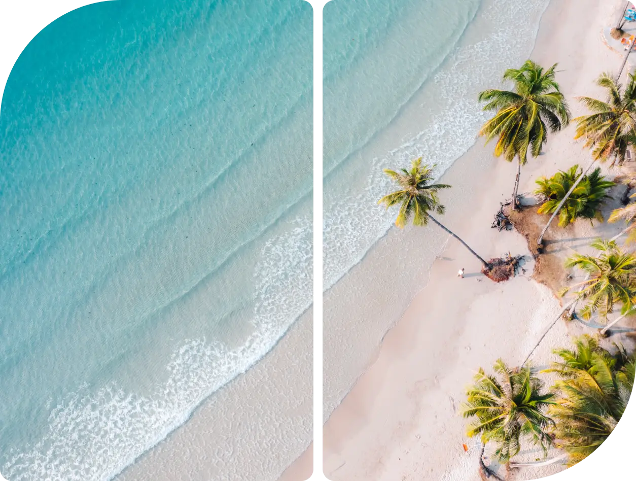 Aerial view of a tropical beach with palm trees and turquoise water.
