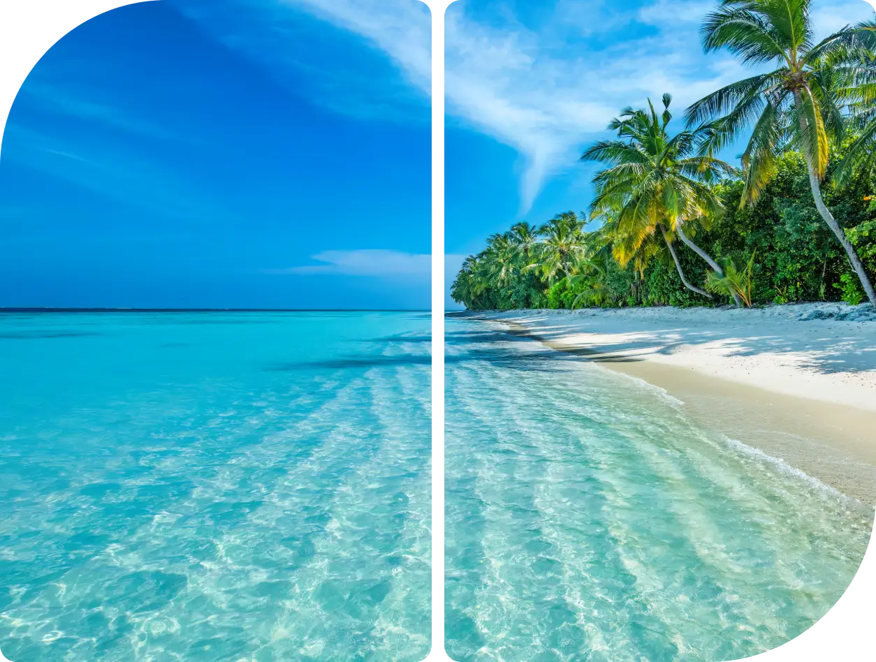 A serene tropical beach with clear blue water and palm trees.