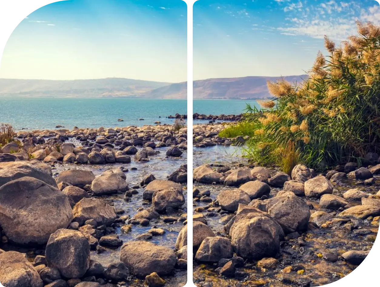 Fishing rod set up on rocky shore near calm water and hills.