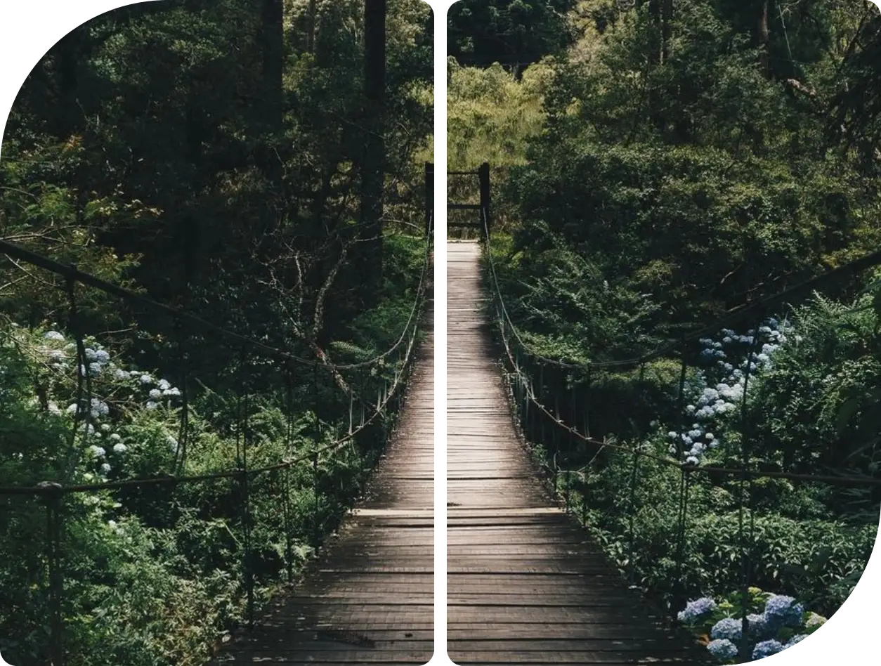 A wooden suspension bridge in a forest.